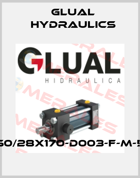 KZ-50/28X170-D003-F-M-50-E Glual Hydraulics