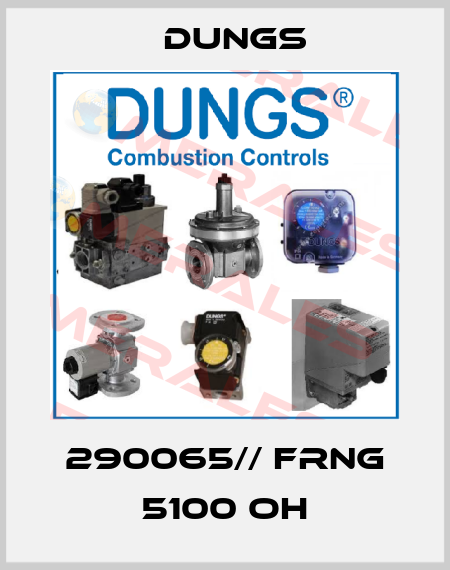 290065// FRNG 5100 OH Dungs