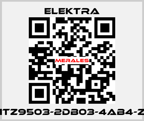 1TZ9503-2DB03-4AB4-Z ELEKTRA