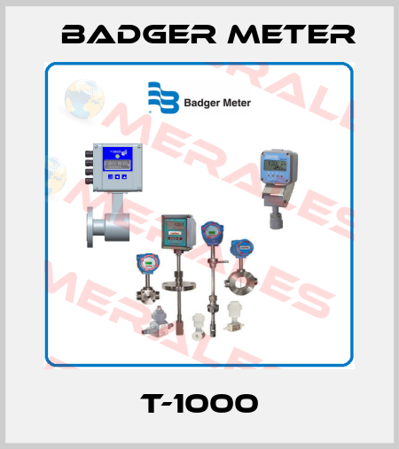 T-1000 Badger Meter
