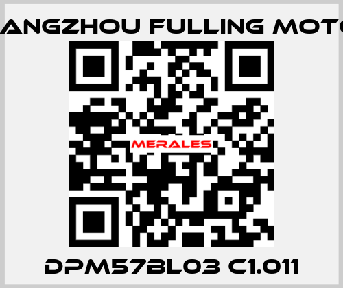 DPM57BL03 C1.011 Changzhou Fulling Motor