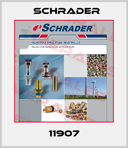11907 Schrader