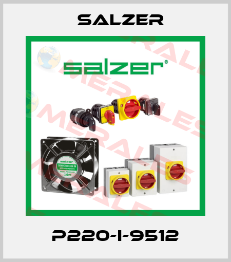 P220-I-9512 Salzer