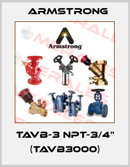 TAVB-3 NPT-3/4" (TAVB3000) Armstrong