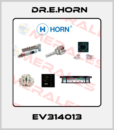 EV314013 Dr.E.Horn