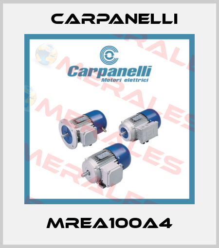 100a/4-BR-SO-IE3 Carpanelli