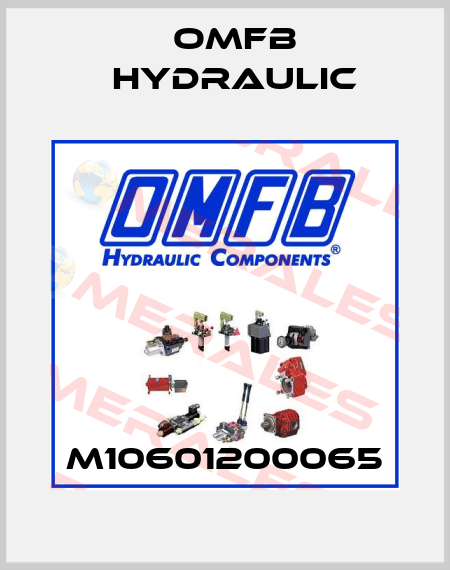 M10601200065 OMFB Hydraulic