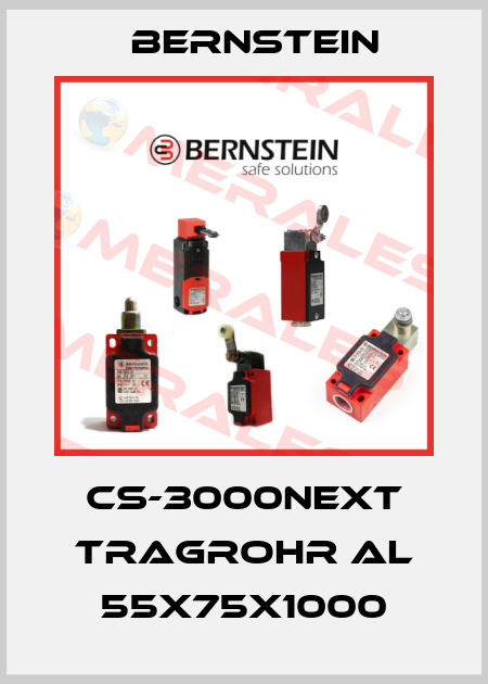 CS-3000neXt Tragrohr AL 55X75X1000 Bernstein