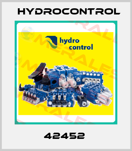 42452  Hydrocontrol