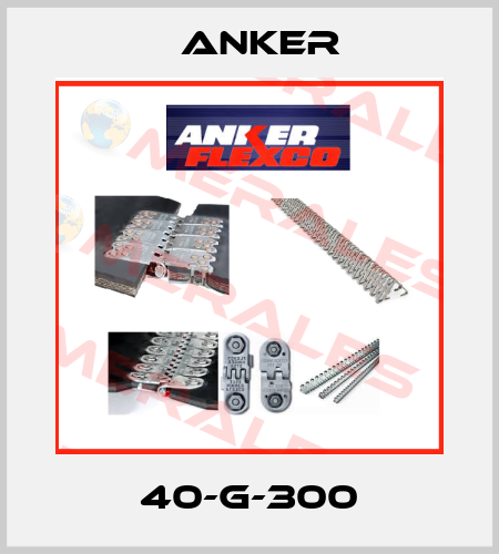 40-G-300 Anker