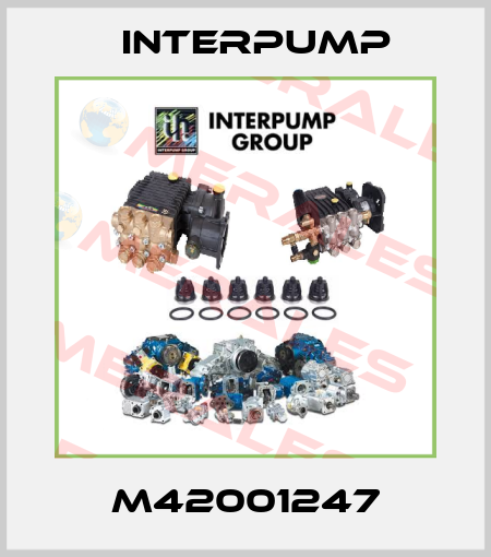 M42001247 Interpump