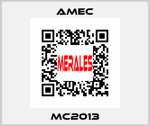 MC2013 AMEC
