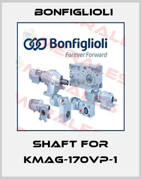 SHAFT FOR KMAG-170VP-1 Bonfiglioli