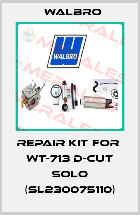 repair kit for  wt-713 d-cut SOLO (SL230075110) Walbro