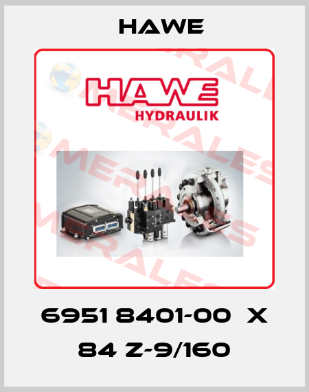 6951 8401-00  X 84 Z-9/160 Hawe