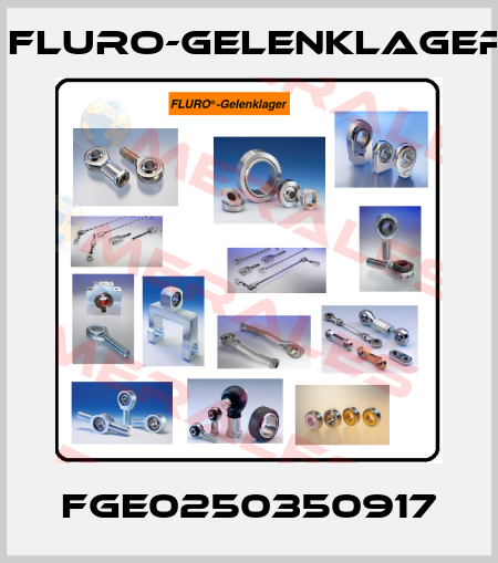 FGE0250350917 FLURO-Gelenklager