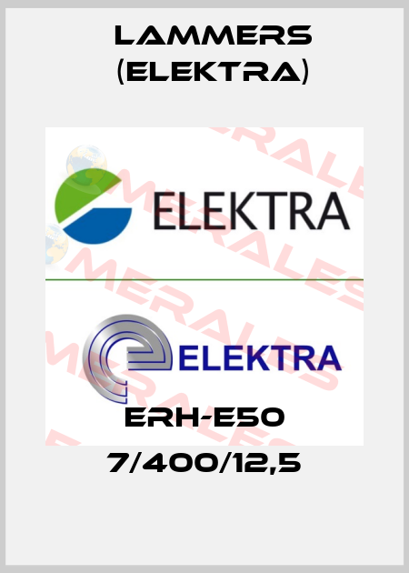 ERH-E50 7/400/12,5 Lammers (Elektra)