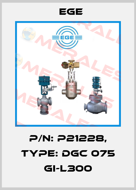 p/n: P21228, Type: DGC 075 GI-L300 Ege