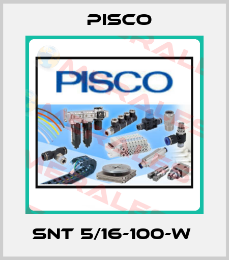 SNT 5/16-100-W  Pisco