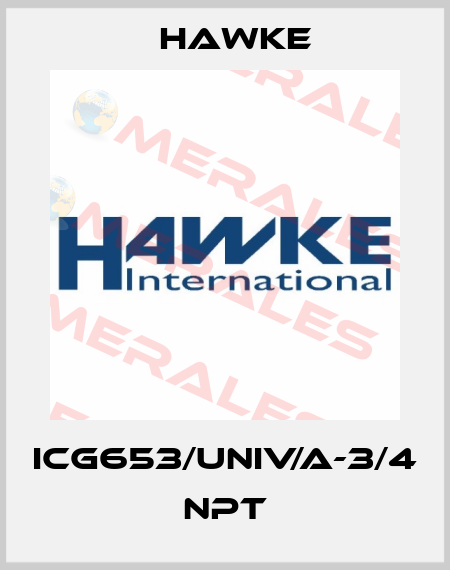 ICG653/UNIV/A-3/4 NPT Hawke