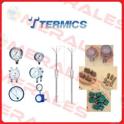 TS-RTD-01 Termics