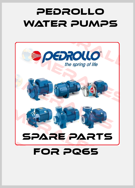 SPARE PARTS FOR PQ65  Pedrollo Water Pumps