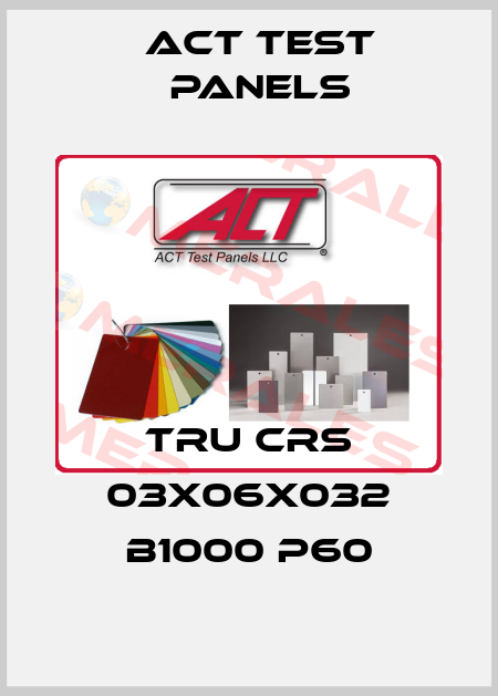 TRU CRS 03X06X032 B1000 P60 Act Test Panels