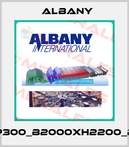 RP300_B2000xH2200_RH Albany