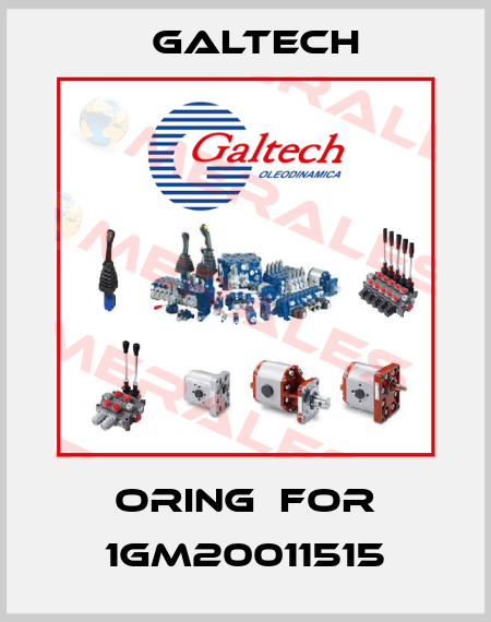 Oring  for 1GM20011515 Galtech