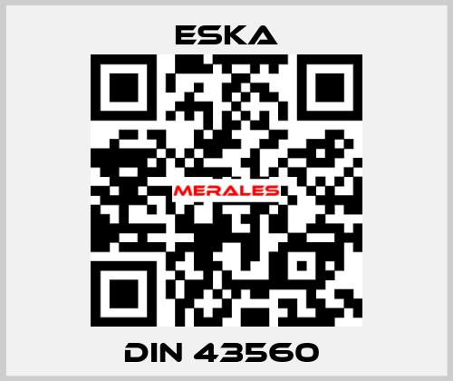DIN 43560  Eska