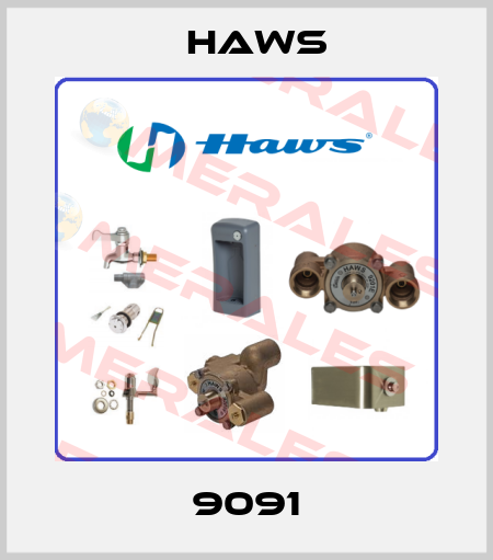 9091 Haws