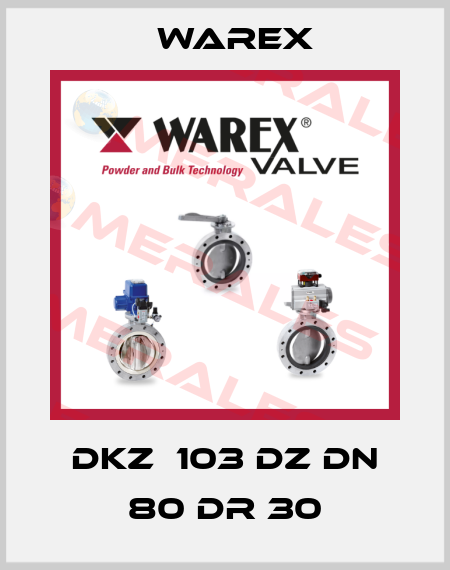 DKZ  103 DZ DN 80 DR 30 Warex