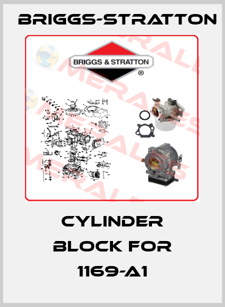 Cylinder block for 1169-A1 Briggs-Stratton