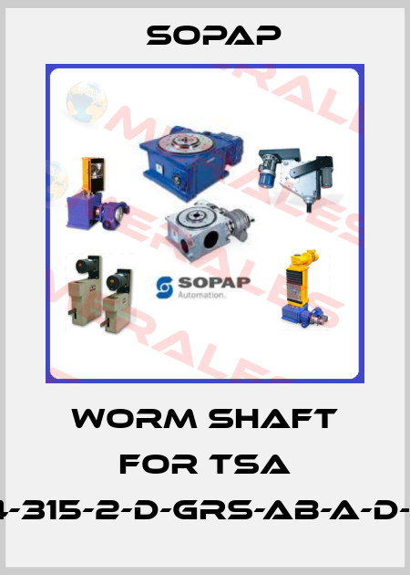 Worm shaft for TSA 200-4-315-2-D-GRS-AB-A-D-E-17-E Sopap
