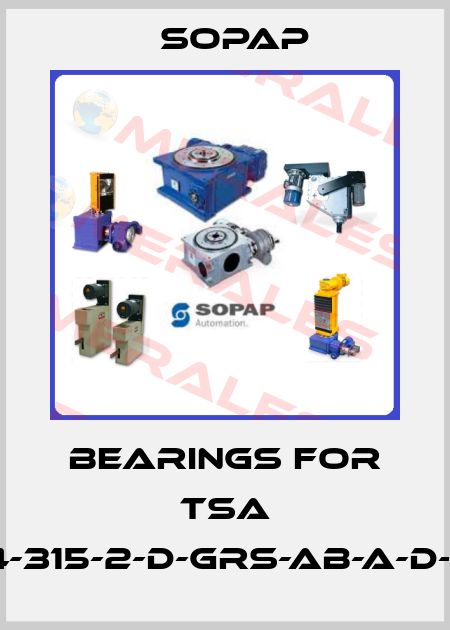 Bearings for TSA 200-4-315-2-D-GRS-AB-A-D-E-17-E Sopap
