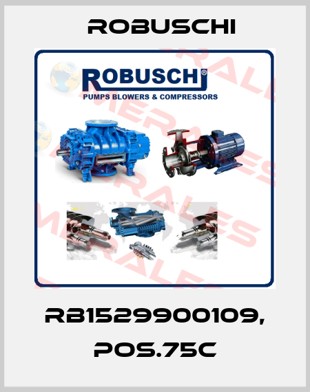 RB1529900109, Pos.75C Robuschi