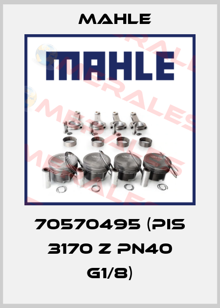 70570495 (PIS 3170 Z PN40 G1/8) MAHLE