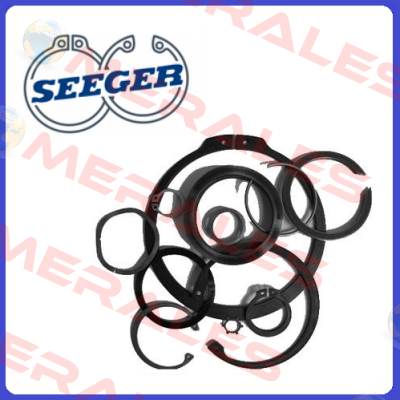 SS35X45X2,50 PHOS. /GEOELT-C75  Seeger Orbis