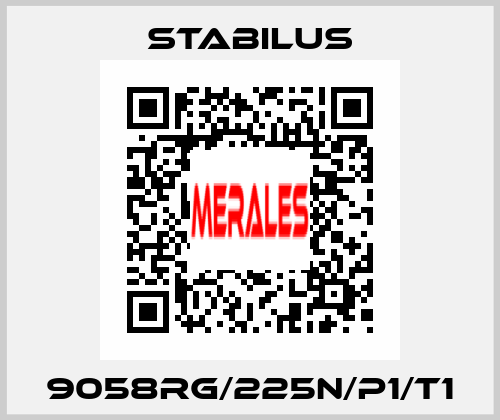 9058RG/225N/P1/T1 Stabilus