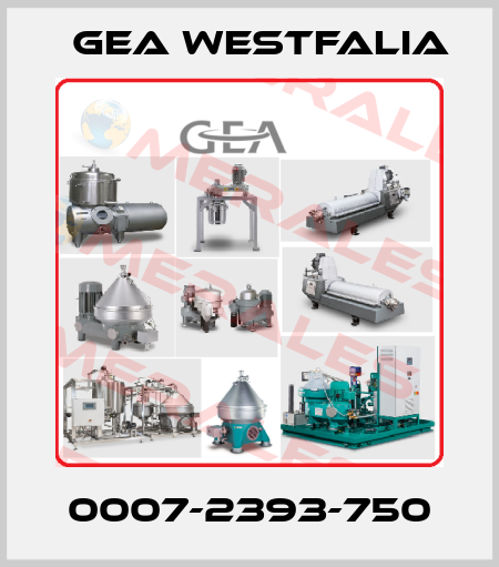 0007-2393-750 Gea Westfalia