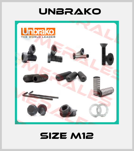 size M12 Unbrako