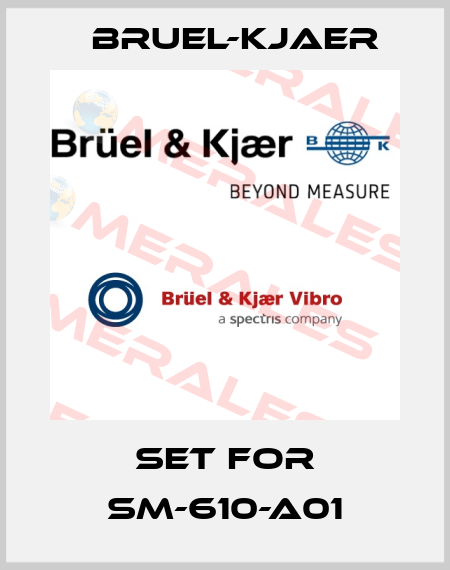 Set for SM-610-A01 Bruel-Kjaer