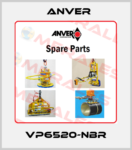 VP6520-NBR Anver