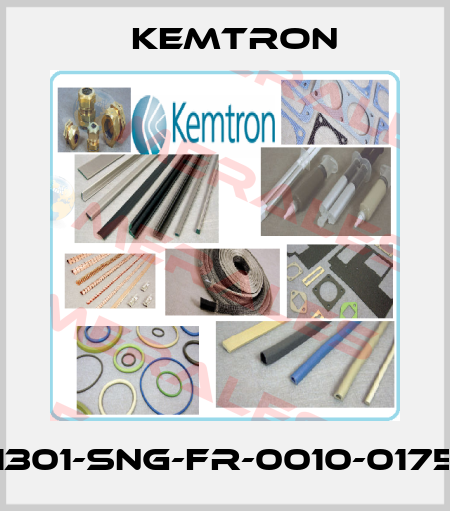 1301-SNG-FR-0010-0175 KEMTRON