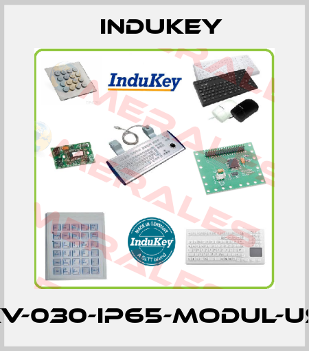 TKV-030-IP65-MODUL-USB InduKey
