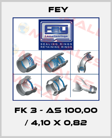FK 3 - AS 100,00 / 4,10 x 0,82 Fey