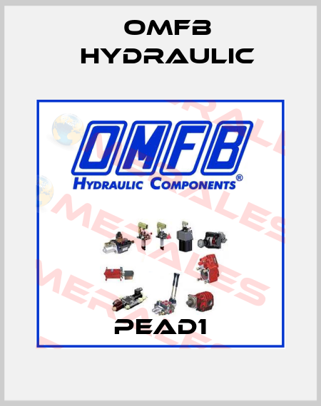 PEAD1 OMFB Hydraulic