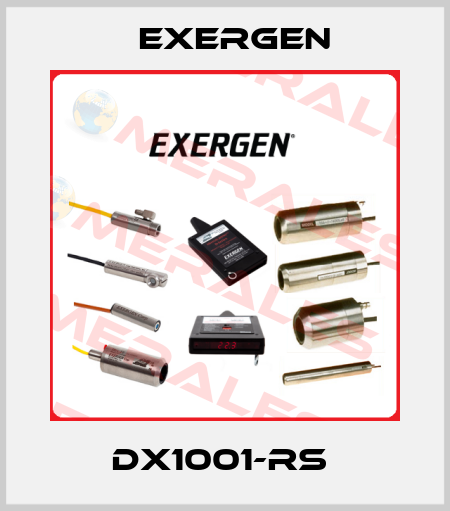 DX1001-RS  Exergen