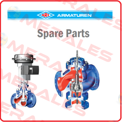 FABA-Plus (DN150 PN 40) ARI