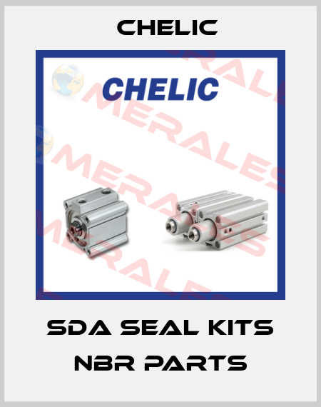 SDA seal kits NBR parts Chelic